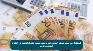استقرار في سعر صرف اليورو.. تعرف على سعره مقابل الجنيه في افتتاح تعاملات الأحد